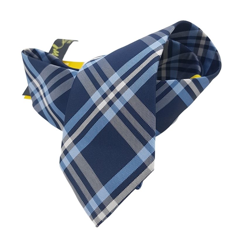 Premium Men's Classic Multi Check Tie